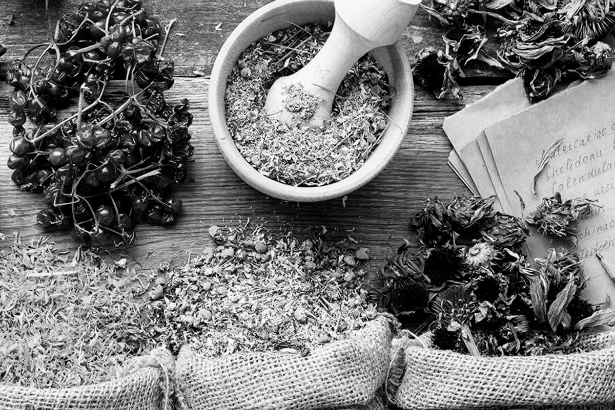 Where do essential oils come from